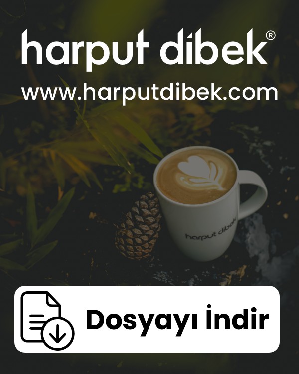 DosyaIndir